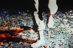 10 - Der Feuerlauf